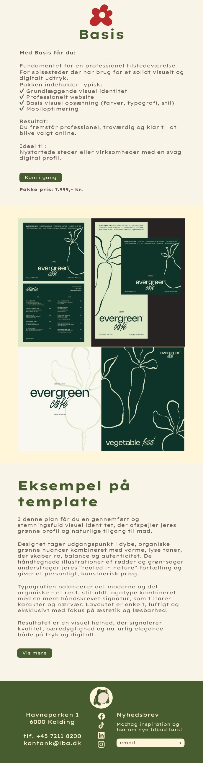 OVIO package page “Basis”: what the package includes, who it is for, the price and an example template for a café called Evergreen.